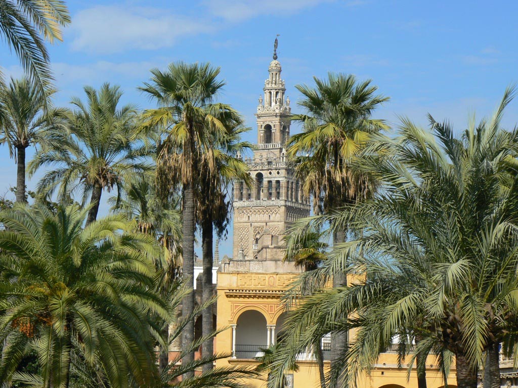 Giralda, jardins Alcazar, Séville, Espagne (Hasamélis)