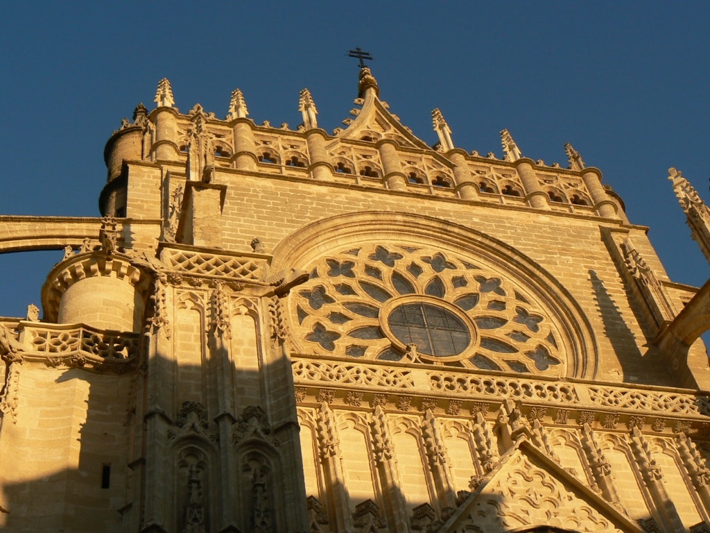 Rosas de la Cathédrale de Séville, Espagne (Hasamélis)