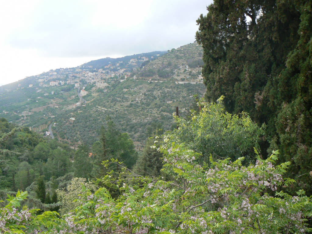 Chouf, Liban (Hasamélis)