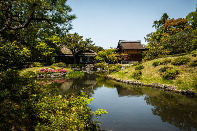 Koishikawa Korakuen, Tokyo, Japon (Jérémie Jalouzet / Flickr)