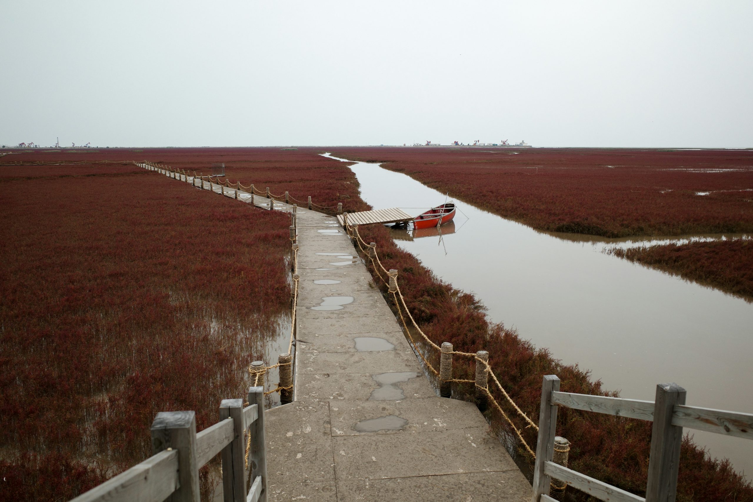 Panjin, Dawa, Liaoning, Chine (Travis Chen / Unsplash)