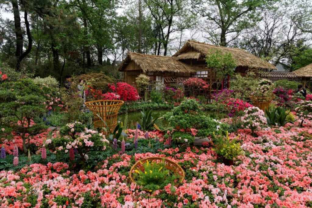 Jardin fleuri, Suzhou, Jiangsu, Chine (Marko Erma / Flickr)